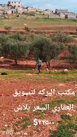 اخواني البيع دون غاطس وعدة الغطاس السعر ٢١الف منهي سعر غير قابل لجدال