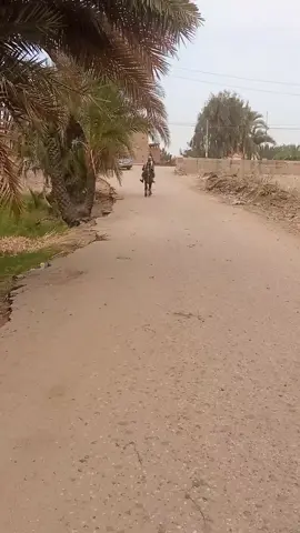 ماشاء الله  العميد الكبير 💪  العميد عبده ابو شنب 👌  اساس الرهوان العالي 🐎  مدرسه الرهوان ✌️