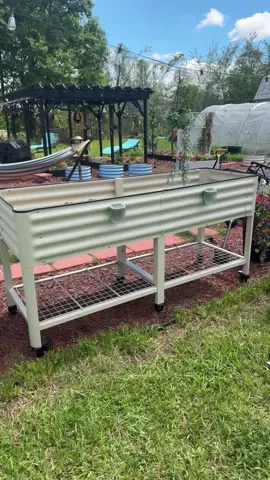 veto Garde raised bed on wheels #raisedbedgarden #raisedbed #raisedgardenbed #tiktokshopstockup #fanfavoritedeals 