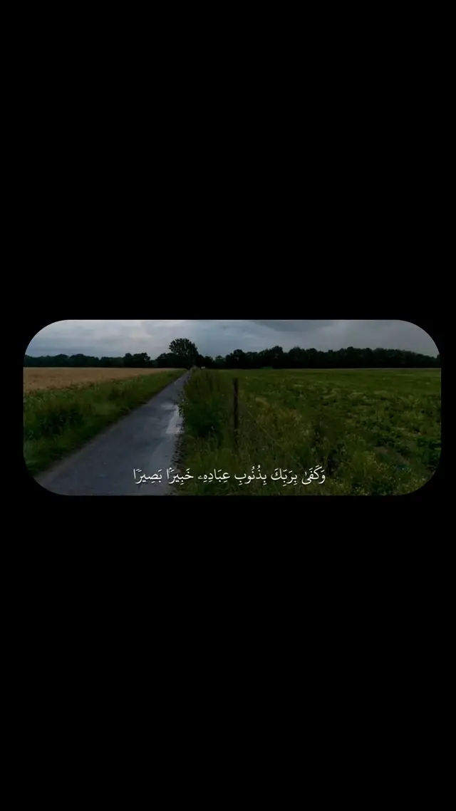 #محمد_شيحات #quranrecitation #قران #quran #تلاوة_خاشعة #تلاوات #اجر_لي_ولكم 