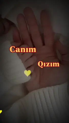 🌹🌹 #fyp #keşfetteyizzz #keşfet 