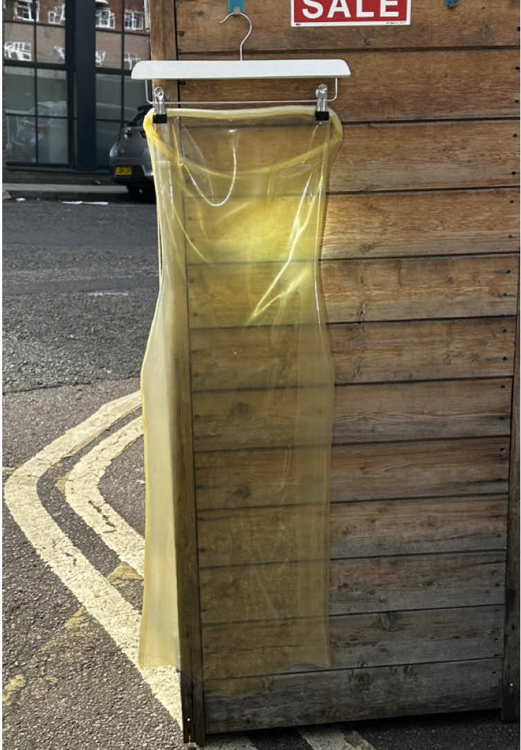 worlds biggest 👀 #POSTERGIRL #guinessworldrecordholder #worldsbiggest #invisibledress #FYP 