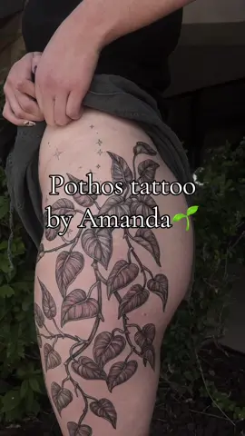 Pothos Hip/ thigh tattoo done by @manders 🌱🌱 Amanda's books are currently closed, but keep an eye out on her page on insta @ manders.art for booking updates or sign up for her newsletter linked in her bio!  La Rosa Tattoo Company 3307 S College Ave, Unit 102-B, Fort Collins, Colorado  #tattooartist #ornamentaltattoo #backtattoo #coloradotattooartist