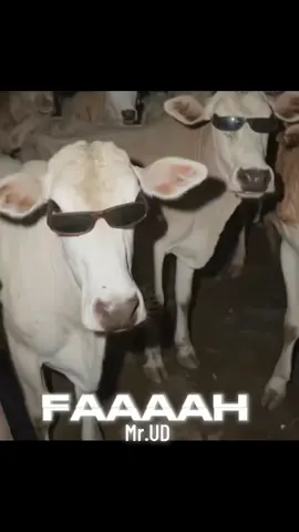 Fa fa fa fa ha #meme #fafafa #edit #funny #mr.ud389