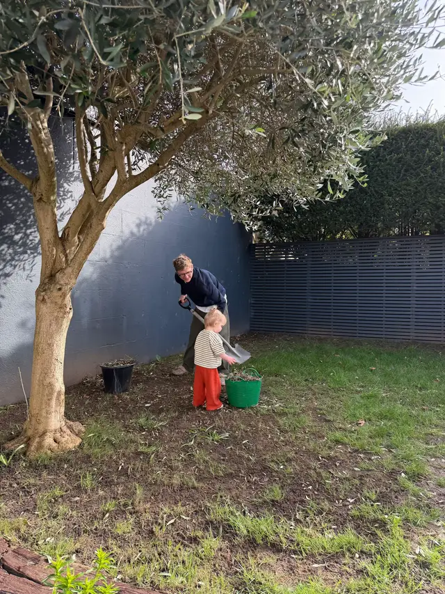 Love a WIP Garden Project 🪏🏡🪴👨‍🌾 #gardentok 