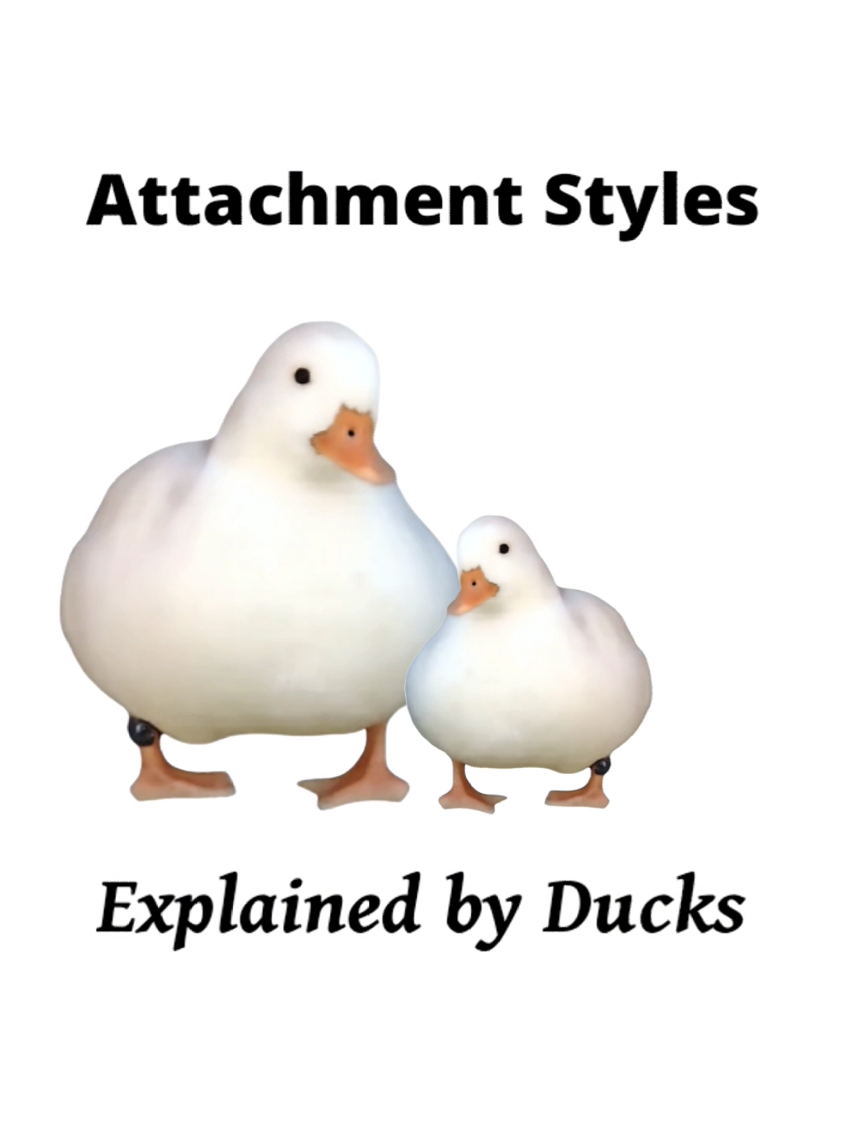 Attachment Styles explained by Ducks #attachment #style #attachmentstyle #explain #duck 