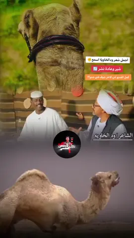 #اجمل_شعر_ودالخاوية #اعادة_نشر🔁 #لازم_يطلع_اكسبلوور🔥 #التفاعل_ضعيف #السودان_مشاهير_تيك_توك🇦🇪🇦🇪 #الصفحة_الرسمية_لي_زول_قصص_العفصي #لازم_يطلع_اكسبلوور🔥 