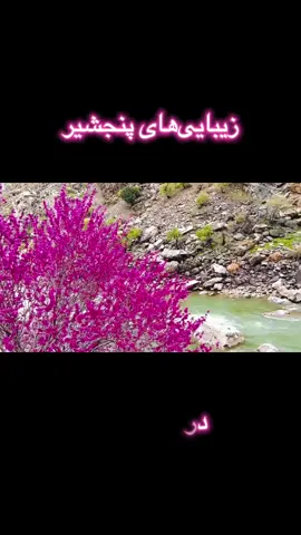 #foryoupage #afghanistan #panjshiri_01 