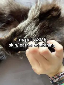 another video with my fox pelt! this time i’m focusing on the leather part. some are softer, some thinner, some drier, it’s interesting to see this variety. i hope you guys like it! 🦊  . . . #asmrsounds #asmrnotalking #asmrleather #asmrscratching #oddities 