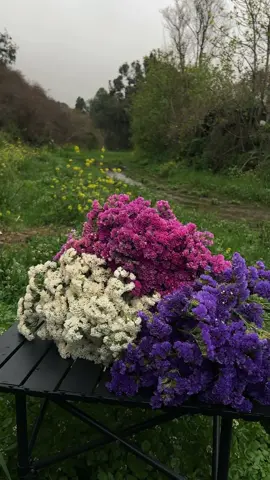 أنا عظيمه في عين نفسي لأني وحدي اعرف صراعاتي وشاهده ع كل اللحظات التي كادت أن تهزمني ولم تفعل 🕊