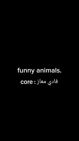 #😂😂😂😂😂😂 #😂😂😂😂😂😂 #😂😂😂😂😂😂 #
