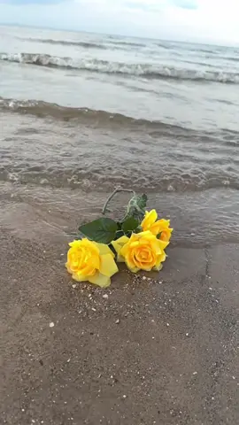 #إذا أردت أن تعيش سعيدا لاتربط حياتك بشئ لا تملكه ...💛🖤#اكسبلورexplore 💜❤️‍🩹