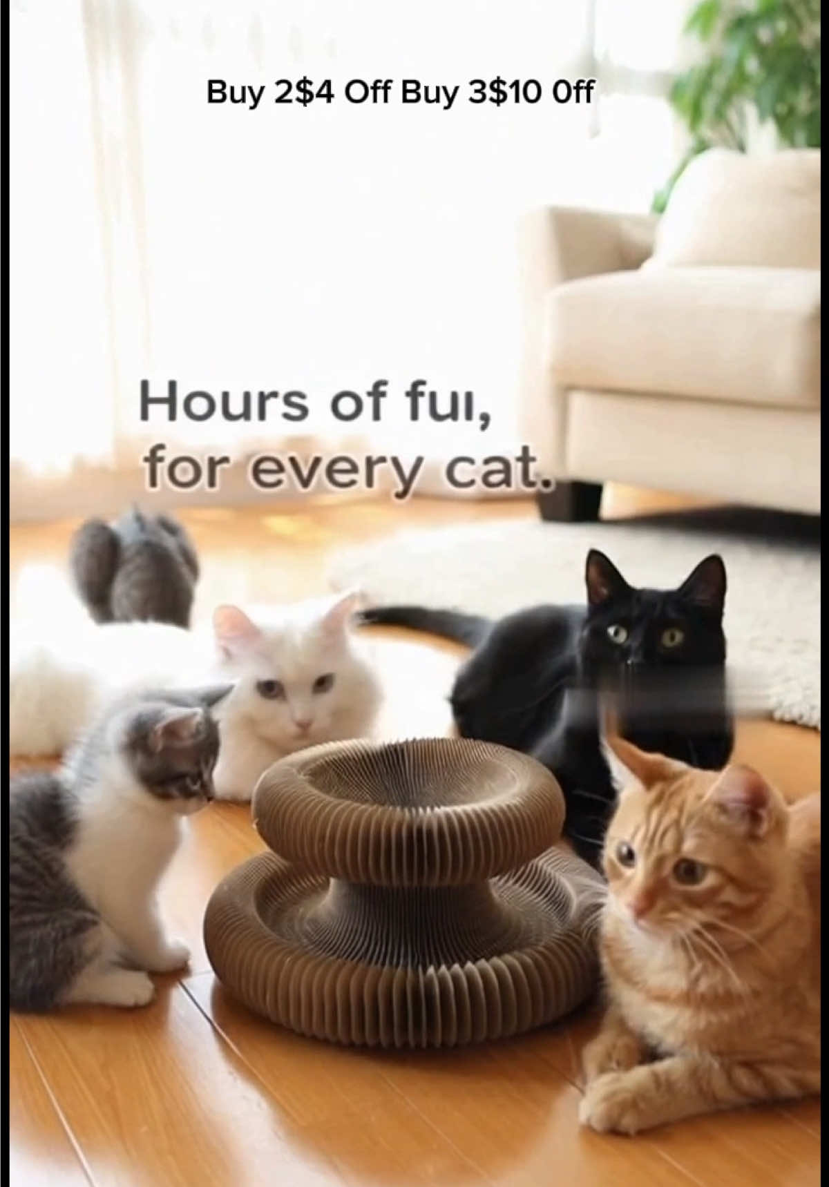 My Cat Won’t Stop Playing With This 😹 It transforms into different shapes! #cat scratcher bed#cat scratching board#cardboard cat scratcher #interactive pet toys#For all cat breeds & all ages