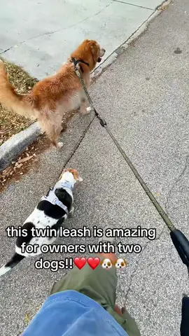 perfect for all dog owners!! #dog #dogowner #dogsofftiktok #doggy #fyp