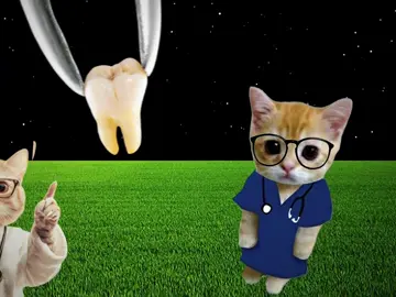 song: E SO BLOCADA – PITOCHK, xxessai       A dentist is a specialist with secondary medical education (dentist) dealing with the treatment of uncomplicated dental diseases, tooth extraction, professional hygiene and oral prevention. Unlike a dentist, a dentist does not have a higher medical education, but these terms are often used as synonyms #dentist #funk #doctor #tooth 