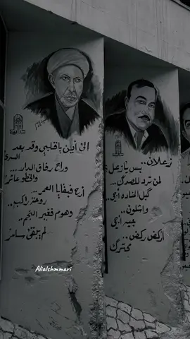 جدار الشعراء 💔#المتنبي #شعراء_وذواقين_الشعر_الشعبي #محظور_من_الاكسبلور🥺 