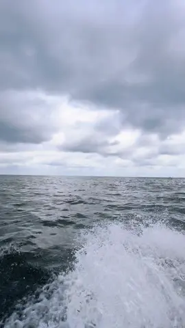 #pov 