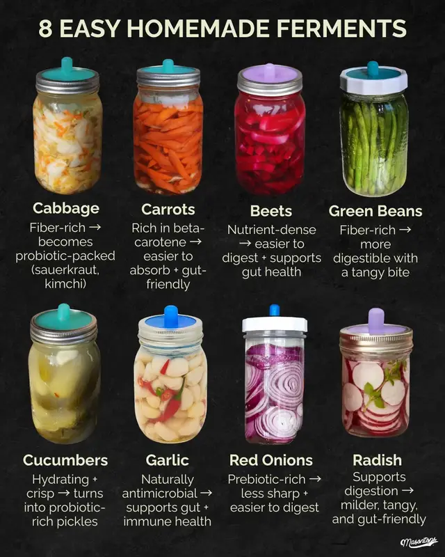 Did you know that fermentation makes your fresh produce even more nutritious? A true superfood right here! From better digestion to boosted vitamins, fermentation does more than preserve — it transforms. These benefits are supported by existing research, but we always encourage doing what works best for your own body. (We're not doctors - just big fans of good jars and good gut-healthy bacteria!) Get the tools, get to produce and let’s ferment!!😍😍 Tag a fermentation friend who needs to see this #fermented #nutrition #probiotics #fermenting