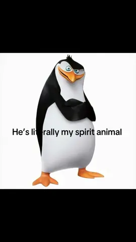 #rico #penguinsofmadagascar #spiritanimal #realatble 