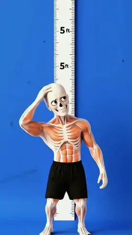 زيادة الطول بعد البلوغ بسرعة زيادة الطول بعد البلوغ طبيعي زيادة الطول بعد البلوغ مضمونة زيادة الطول بعد البلوغ بدون تمارين زيادة الطول بعد البلوغ بدون عمليات زيادة الطول بعد البلوغ في المنزل زيادة الطول بعد البلوغ في اسبوع زيادة الطول بعد البلوغ في شهر زيادة الطول بعد البلوغ في 30 يوم زيادة الطول بعد البلوغ بالتمدد زيادة الطول بعد البلوغ بالنوم زيادة الطول بعد البلوغ بالرياضة زيادة الطول بعد البلوغ بدون مكملات زيادة الطول بعد البلوغ بدون ادوية زيادة الطول بعد البلوغ بدون حبوب زيادة الطول بعد البلوغ مضمون 100% زيادة الطول بعد البلوغ نتائج حقيقية زيادة الطول بعد البلوغ بدون كذب زيادة الطول بعد البلوغ علمياً زيادة الطول بعد البلوغ حقيقة أم خرافة زيادة الطول بعد البلوغ رأي الأطباء زيادة الطول بعد البلوغ سر زيادة الطول بعد البلوغ السر الذي لا يخبرك به أحد زيادة الطول بعد البلوغ الطريقة المخفية زيادة الطول بعد البلوغ مجرب زيادة الطول بعد البلوغ مجربة للبنات زيادة الطول بعد البلوغ مجربة للشباب زيادة الطول بعد البلوغ تجربتي الحقيقية زيادة الطول بعد البلوغ قبل وبعد بالصور زيادة الطول بعد البلوغ بدون جراحة زيادة الطول بعد البلوغ بدون الم زيادة الطول بعد البلوغ في 18 زيادة الطول بعد البلوغ في 20 زيادة الطول بعد البلوغ في 21 زيادة الطول بعد البلوغ في 23 زيادة الطول بعد البلوغ في سن متأخر زيادة الطول بعد البلوغ بعد العشرين زيادة الطول بعد البلوغ للقصار زيادة الطول بعد البلوغ لمن طوله  قصير زيادة الطول بعد البلوغ في سن متأخر زيادة الطول بعد البلوغ بعد العشرين زيادة الطول بعد البلوغ للقصار زيادة الطول بعد البلوغ لمن طوله قصير زيادة الطول بعد البلوغ يومياً زيادة الطول بعد البلوغ بخطوات بسيطة زيادة الطول بعد البلوغ برنامج كامل زيادة الطول بعد البلوغ خطة يومية زيادة الطول بعد البلوغ أسرع طريقة زيادة الطول بعد البلوغ طريقة فعالة