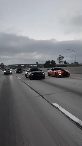 Hellcat bullying Gt500👹 #hellcat #hellcatredeye #hellcatcharger #srthellcat #srt 