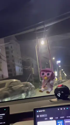 car hanging ornament