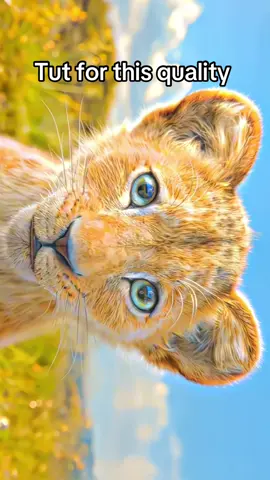 Tut for this 4k UHD quality #tutorial #qualitytutorial #quality #4k #fyp 