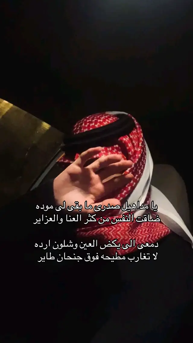يا مداهيل صدرى ما بقى لى موده  #خالد_ال_بريك  #عناد_الشيباني  #اكسبلور #اكسبلورexplore_fypシ #capcutvelocity 