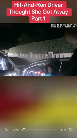 Hit-And-Run Driver Thought She Got Away #cops #police #viral #suits #lawyer 