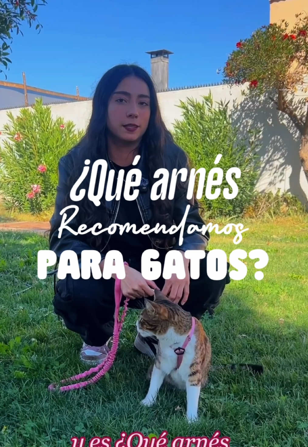 Definitivamente este es el arnés que le recomendaría a todos ustedes 🩷✨ Cómodo, ligero y perfecto para el día a día ¿Qué te parece este sistema antiescape? ¿Lo usarías para tu gato? 🐾 @petco_chile  #adventurecat#feed#arneses#catlovers 