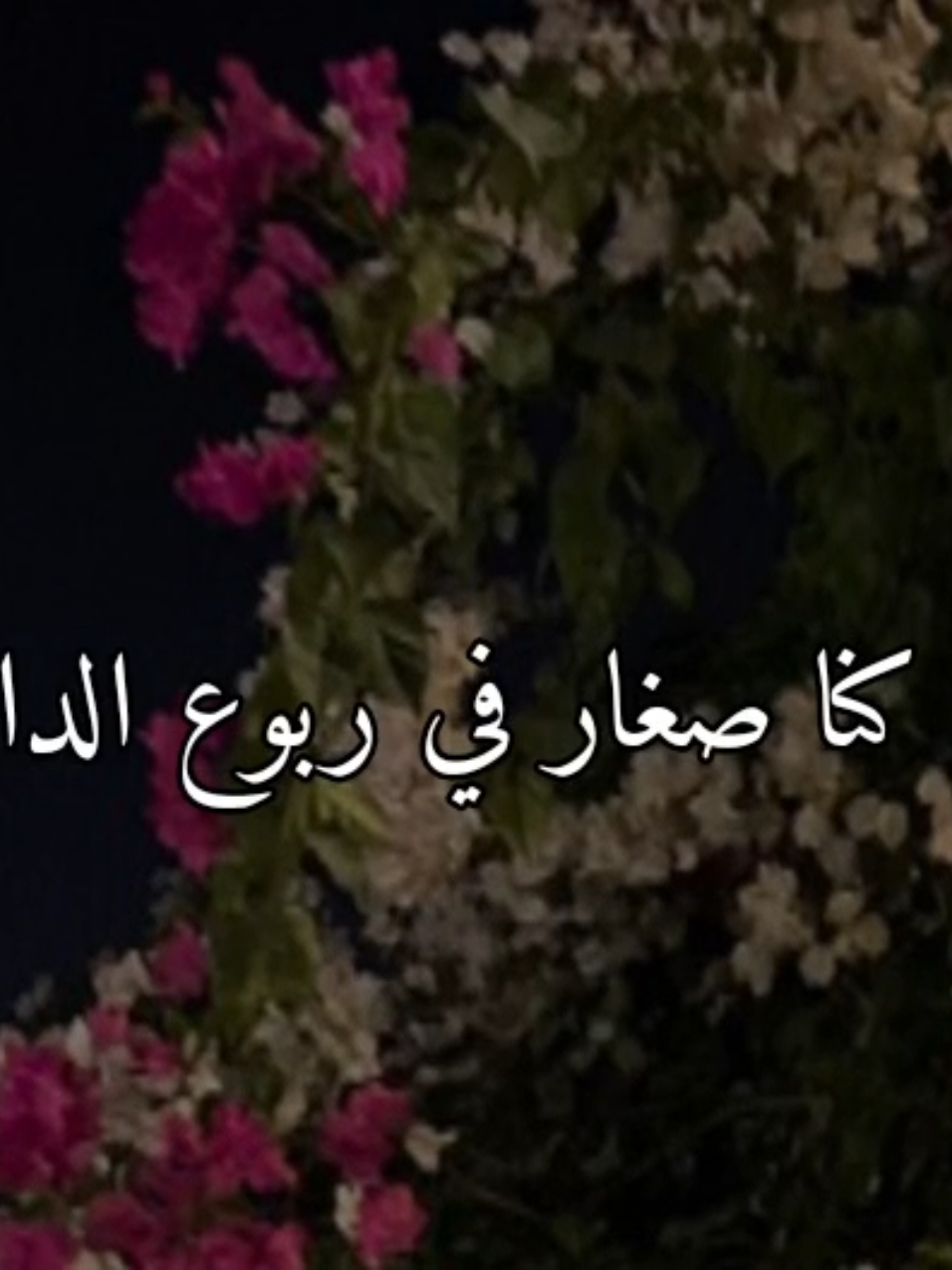 يوم كنا صغار في ربوع الدار🤎 #تصميم_فيديوهات🎶🎤🎬 #تصميمي #سوريا_تركيا_العراق_السعودية_الكويت_عمان 