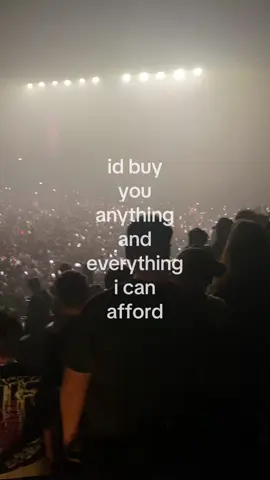 #flaminghotcheetos #clairo #fyp #viral #concert 