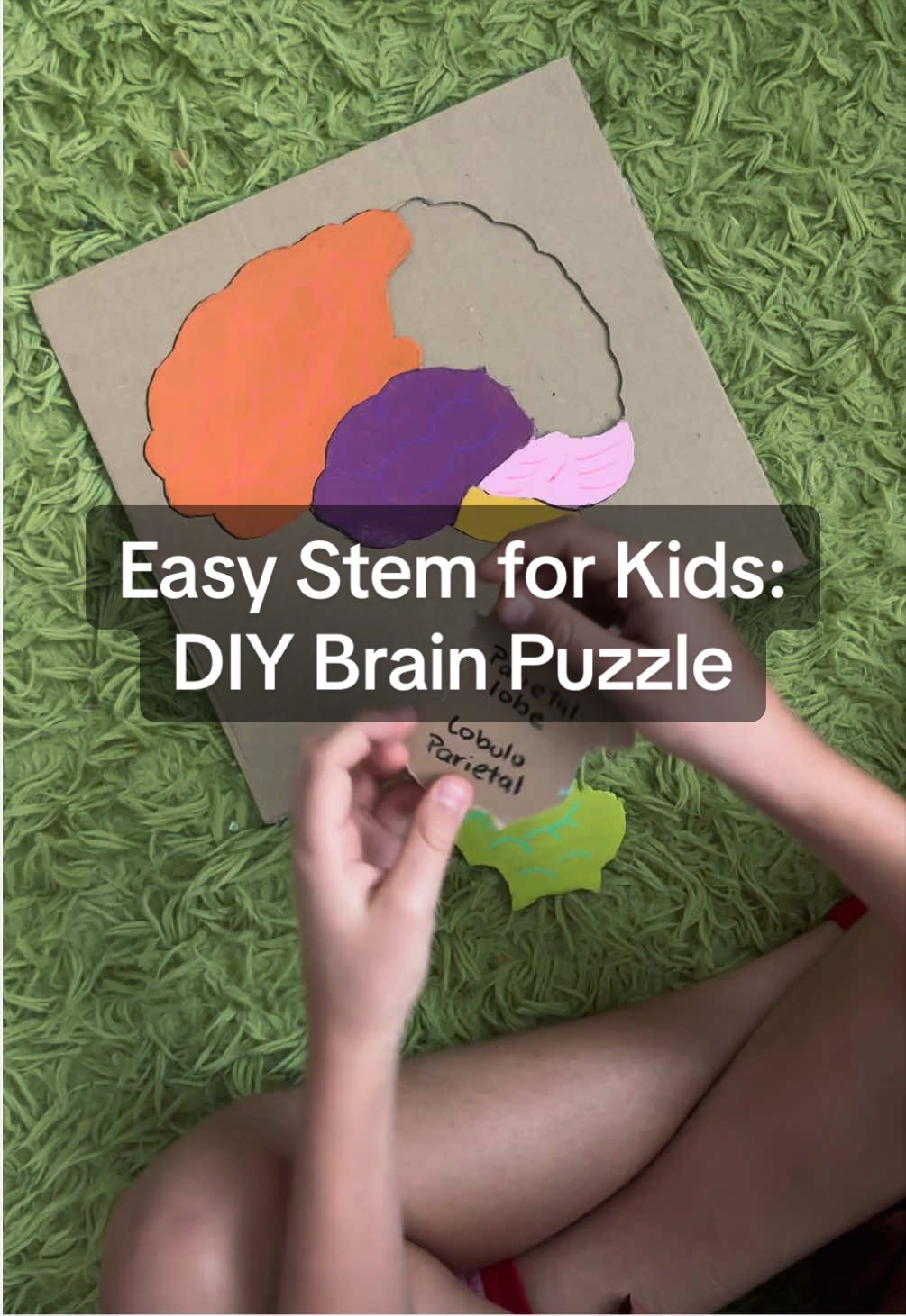 Hands-on activities just hit different 🧠 This DIY brain puzzle made it SO much easier for my boys to understand the parts of the brain 🙌 Simple, low-prep, and actually fun 👀 Save this for your next science lesson 🧠 ———- Las actividades prácticas hacen TODA la diferencia 🧠 Este rompecabezas del cerebro ayudó a mis hijos a entender las partes mucho más fácil 🙌 Fácil, económico y divertido 👀 Guárdalo para tu próxima lección de ciencia 🧠 #stemforkids #scienceforkids #kidscrafts #homeschoolmom #bilingualparenting 