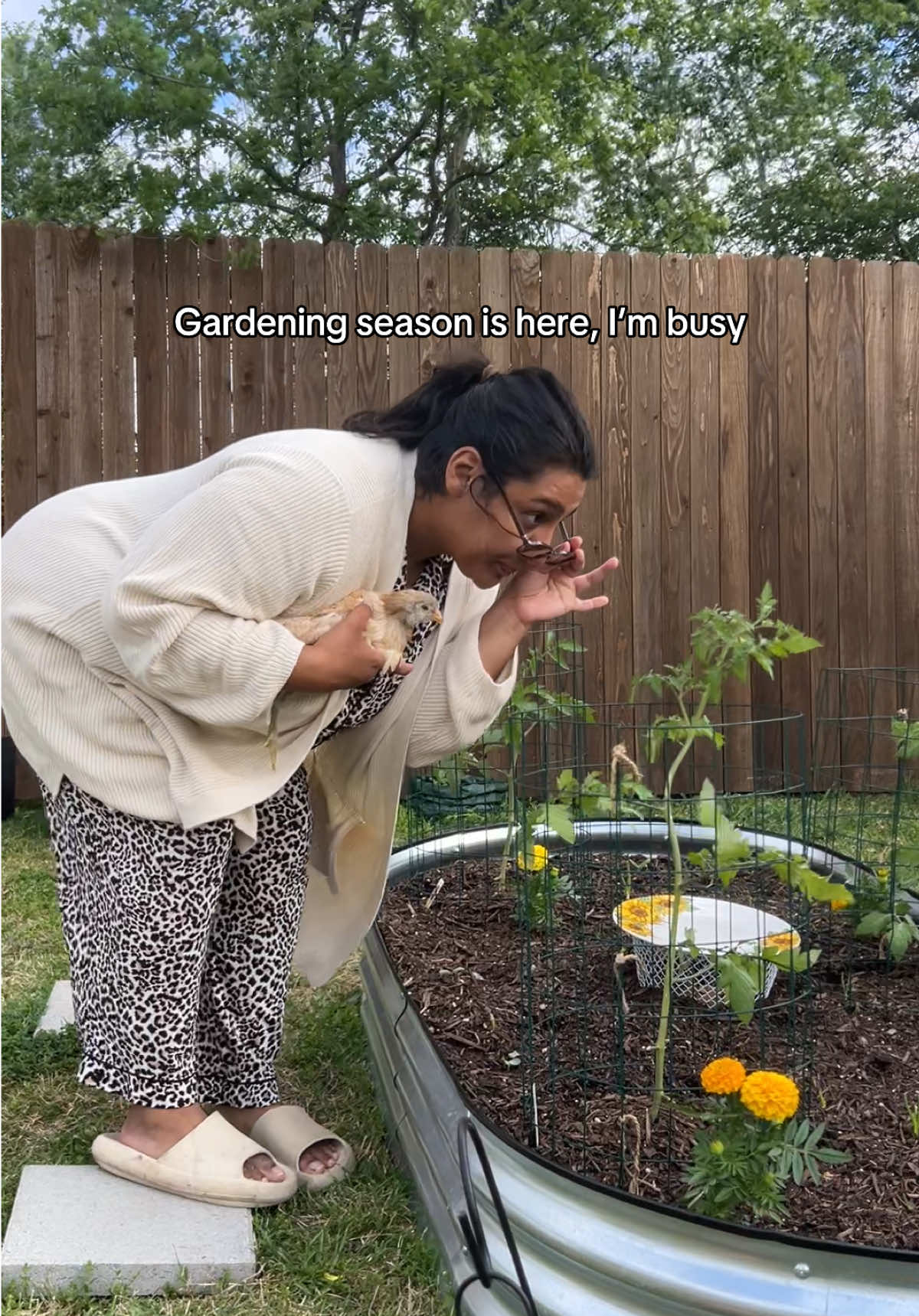 Kinda busy 🤷🏽‍♀️🐓 #gardening #backyardgarden #newgardener #gardenhumor #garden 