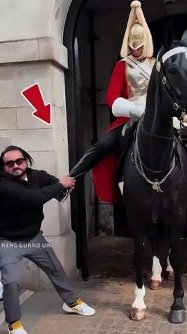Part 1: Watch what happen with king guard horse. A man disrespect #kingguard #royalguard #horseguardsparade #buckinghampalace #fyp 