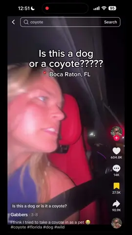 I thought this was a joke but she is being fr about the dog thing wurdabro Credit:@Gabbers  #dog #coyote #taggking 