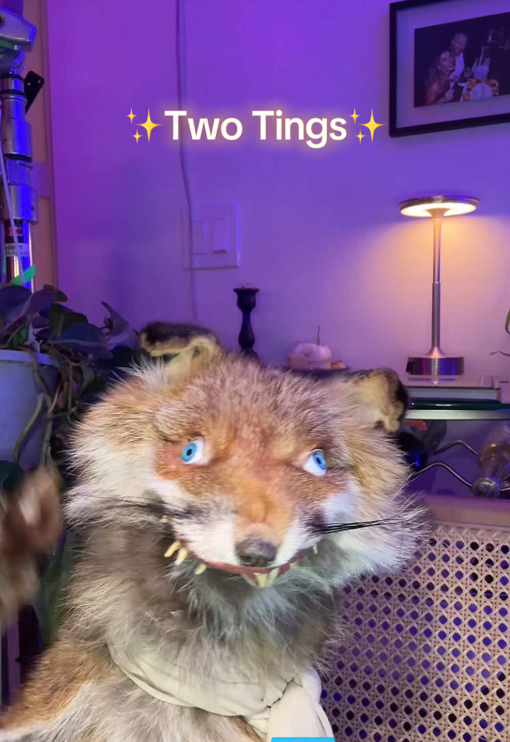 ✨two tings✨  . #twotings #estellepuppet 