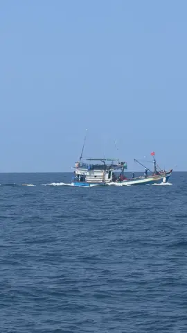 Muốn đánh bắt được cá Chim ngư dân phải trãi qua nhiều công đoạn mới bắt được cá nhé bà con@Tuyển dụng Quốc Đạt @Trần Tám Tuấn @Oanh Trần @Điệp Phước @Thuý Diễm Trương 