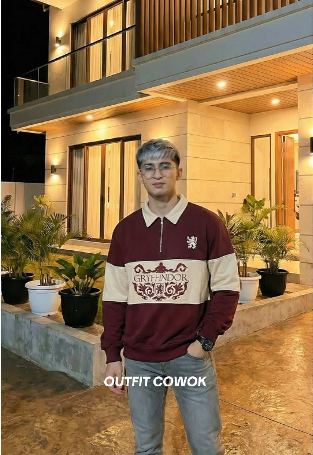 Thesilversky Harry Potter Hogwarts Houses Halfzip Premium