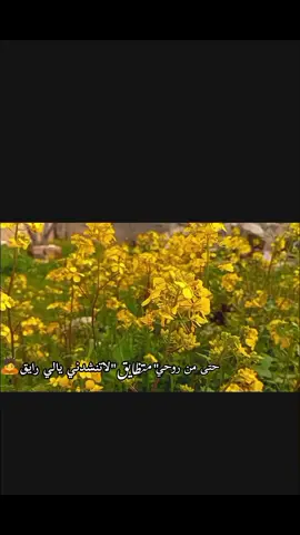 حتى من روحي متظايق🙇‍♂️❤️‍🩹تصويري تصميمي #أكسبلور #ريحانةالجنة🌿 #بدون_موسيقى_لحياه_افضل #اللهم_صل_وسلم_على_نبينا_محمد 