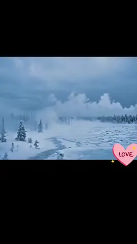 #wolf #Love #dog #motivacion #mama 