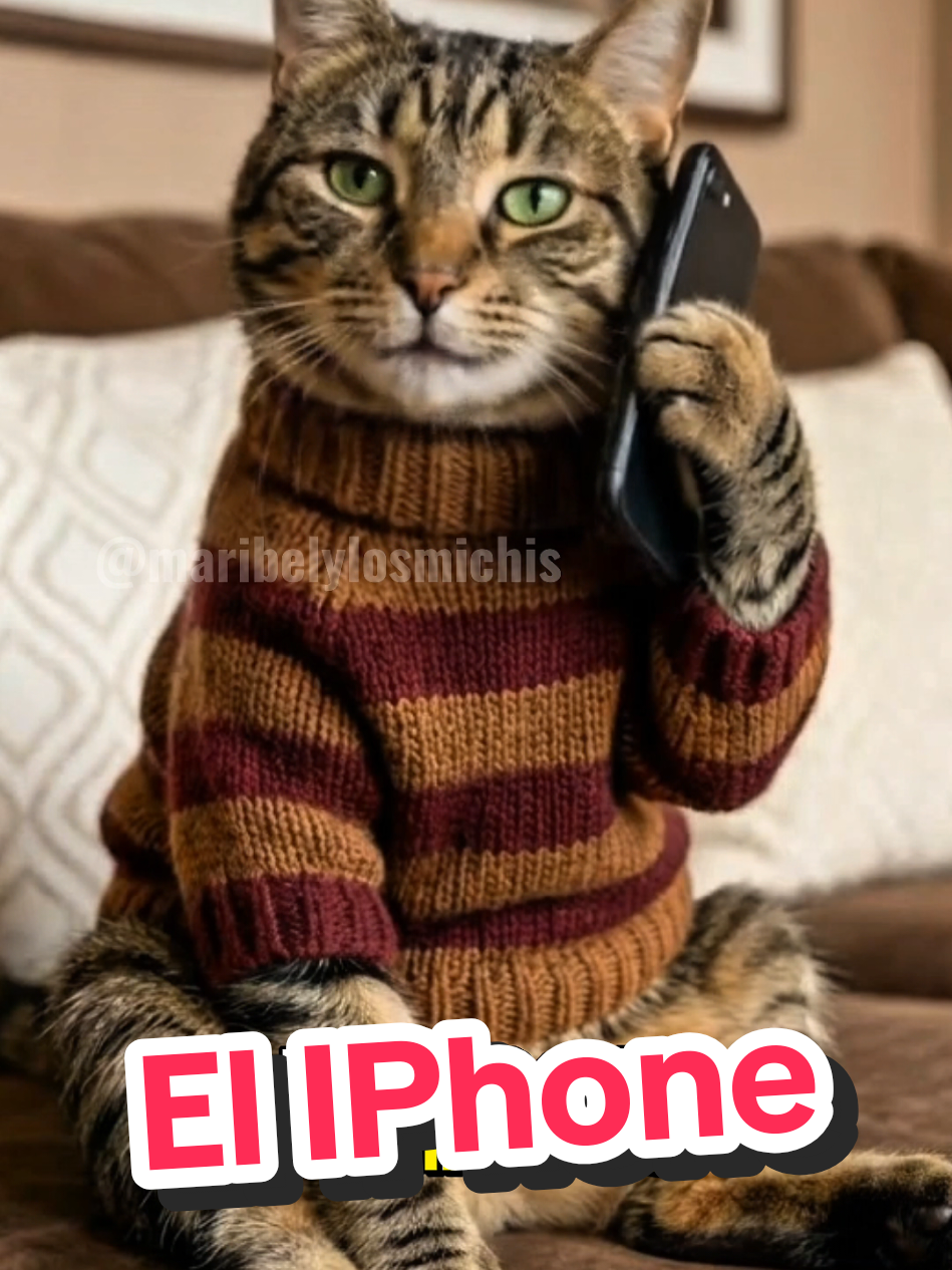 ¿Me puedes dejar 50 euros? 🤣 #gatos #memes #chistes #pets #funnuvideos 