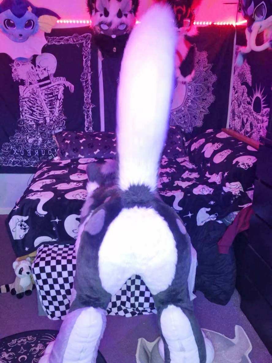🔵🔵 #furrytiktok #furrygirl #furry #fursuit #ukfurry 