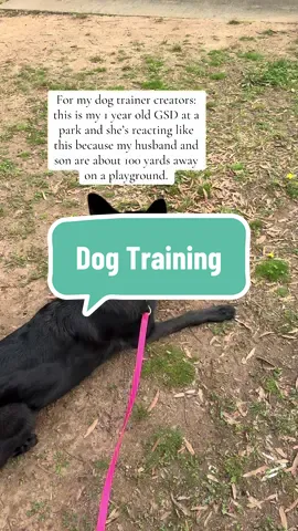 Our dog is very well-trained on leash when it’s just one of us walking her. She’s calm, super handler-focused, and does everything she’s supposed to do. BUT the second it’s all three of us (me, my husband, and our son), it’s a completely different story. She cannot focus, gets super anxious, and doesn’t know who she’s supposed to be heeling next to or listening to. She also absolutely cannot relax about one of us even walking 2 feet ahead. She whines, barks, and yelps the entire time. The weird part is… she will technically still do the command being given, just while barking through all of it. And she doesn’t calm down, even when we stop and try to wait her out. Which to be fair, is hard to do for a long time when you have a 2 year old.  What’s even more confusing is that this ONLY happens in public. At home, she’s totally fine. I can put her in place in our backyard and my husband and son can be on the complete opposite end (we have about an acre), and she doesn’t react at all. How do we correct this when we’re all out in public together?? @Dan The Dog Man @Leader Of The Pack LV 