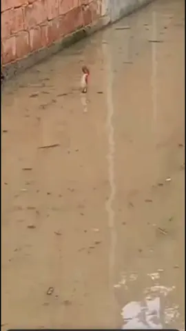 You know you love it #fyp #funny #funnyvideo #laughing 