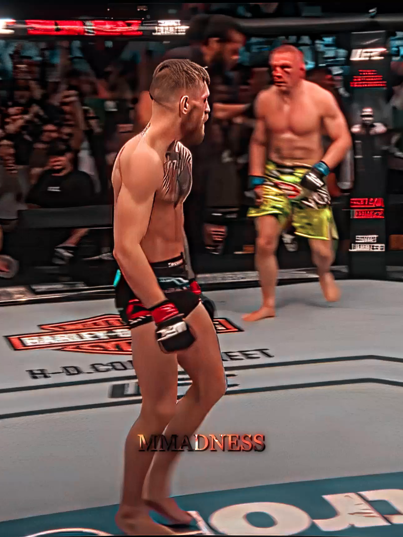 Conor McGregor bully Jose Aldo #conormcgregor #josealdo #UFC #mma #MMADNESS #sports #ufcedit