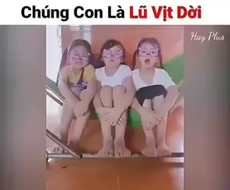 ngẫm thấy đúng nhà không có gì toàn rượu mơ #xhtiktok2026 