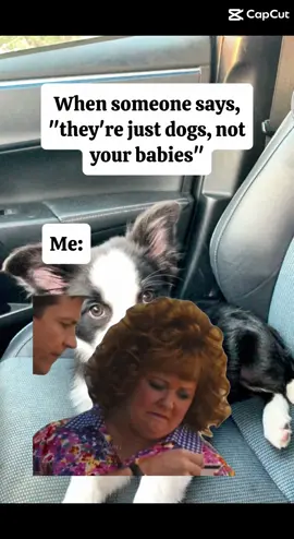 #dogsoftiktok #dogfunny #dogs #dogsoftiktokviral #doglover 