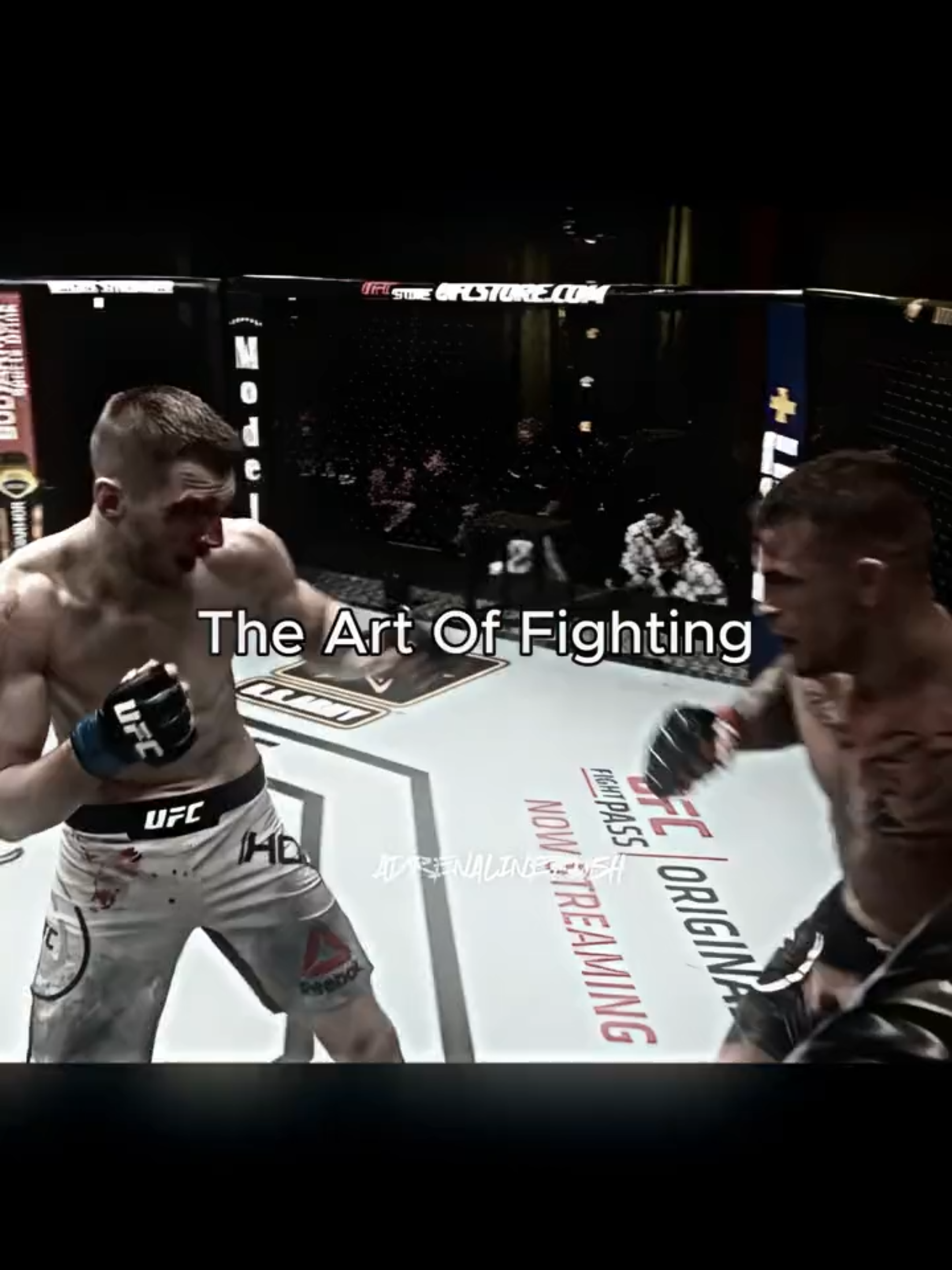 The real bmfs #mma #song #edit #dustinpoirier #poirier