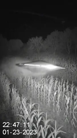 CCTV night vision footage • 01-23-2023 • 22:47 Elongated craft with intense white lights flying dangerously low over a cornfield. It cuts through the stalks, kicks up mist, then suddenly accelerates and disappears into the darkness. No sound. No explanation. Just pure mystery. #TenebrisContactum #UFO #AlienEncounter #CornfieldMystery #CCTVFootage       Contains AI-generated media